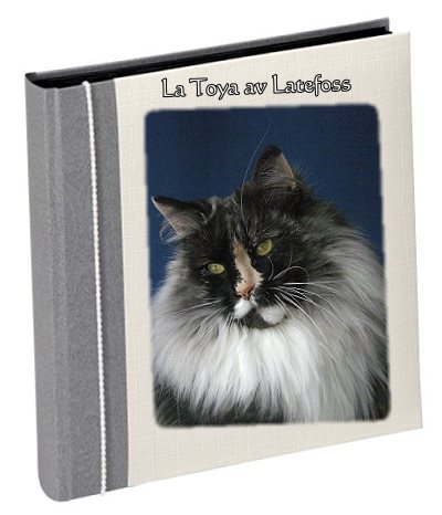 La Toaya av Latefoss