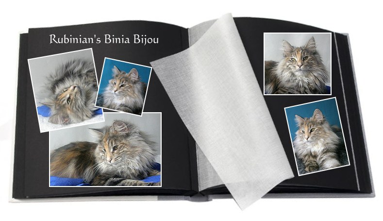 Rubinian's Binia Bijou