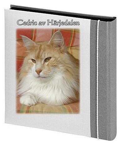 Cedric av H�rjedalen
