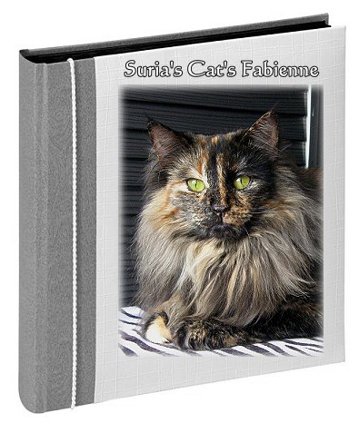 Suria's Cat's Fabienne