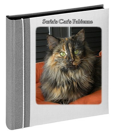 Suria's Cat's Fabienne
