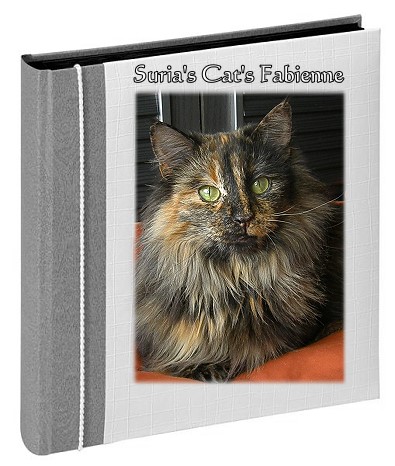 Suria's Cat's Fabienne