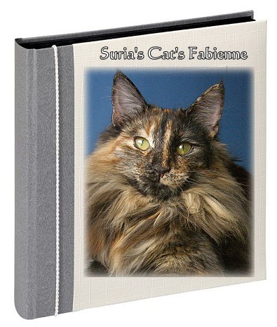 Suria's Cat's Fabienne
