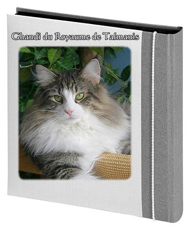 Ghandi du Royaume de Talmanis