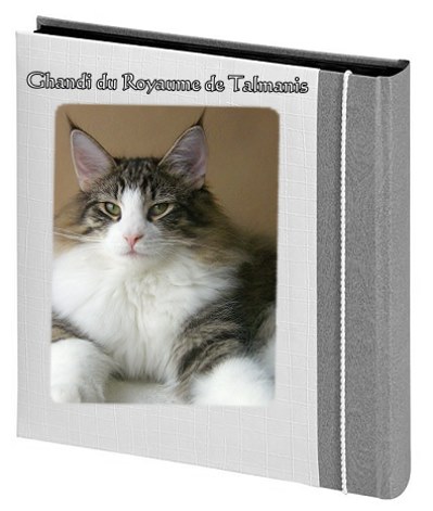Ghandi du Royaume de Talmanis