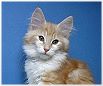 Joyce mit 12,5 Wochen