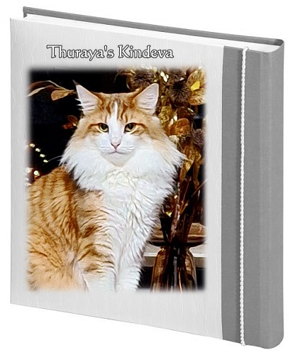 Thuraya's Kindeva