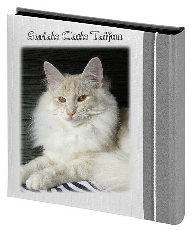 Suria's Cat's Taifun