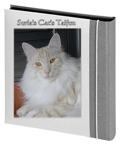 Suria's Cat's Taifun