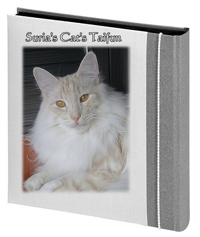 Suria's Cat's Taifun