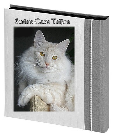 Suria's Cat's Taifun
