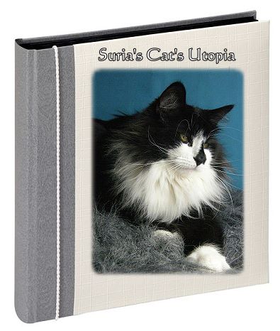 Suria's Cat's Utopia