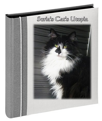 Suria's Cat's Utopia