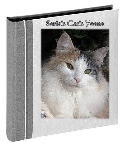 Suria's Cat's Yoana