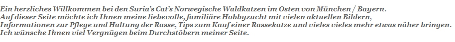 bei den Suria�s Cat�s Norwegische Waldkatzen im Osten von M�nchen / Bayern.
Auf dieser Seite m�chte ich Ihnen meine liebevolle, famili�re Hobbyzucht mit vielen aktuellen Bildern.............
Informationen zur Pflege und Haltung der Rasse, Tips zum Kauf einer Rassekatze und vieles vieles mehr etwas n�her bringen.
Ich w�nsche Ihnen viel Vergn�gen beim durchst�bern meiner Seite.